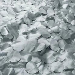 Promo ❤️ Lush Decor Gigi Ivory Shower Curtain Silver 🥰 12 Promo ❤️ Lush Decor Gigi Ivory Shower Curtain Silver 🥰 -Lush Decor Shop Lush Decor Gigi Ivory Shower Curtain 3