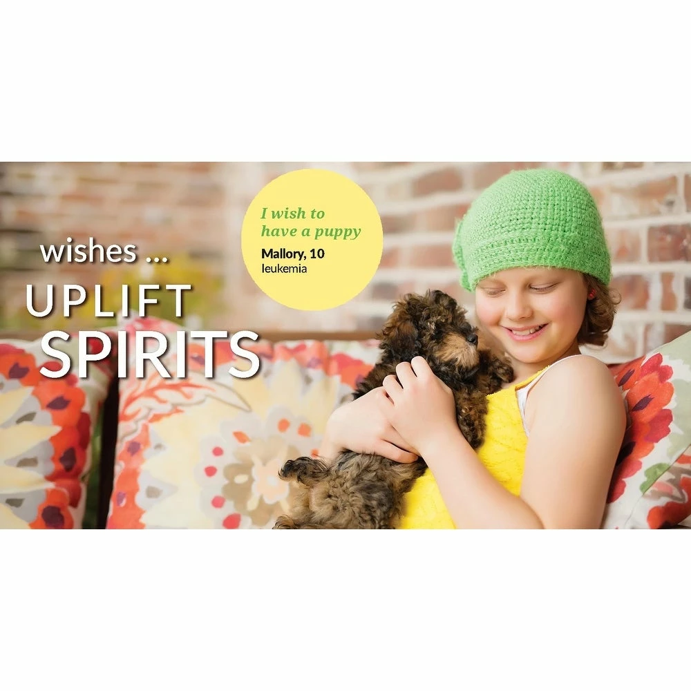 Hot Sale π― Lush Decor Make A Wish Southwest Llama Cactus Reversible Print Quilt Set White & Blush β¨ 5 Hot Sale π― Lush Decor Make A Wish Southwest Llama Cactus Reversible Print Quilt Set White & Blush β¨ - Image 5